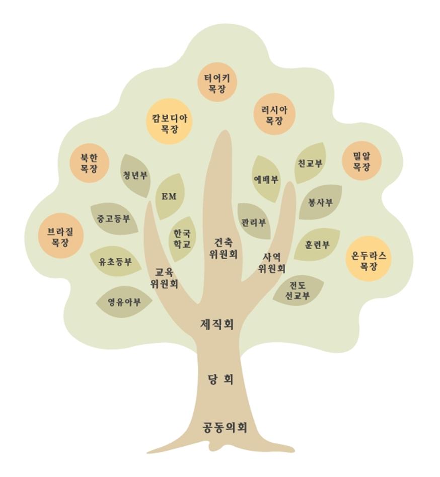 orgnization tree.jpg